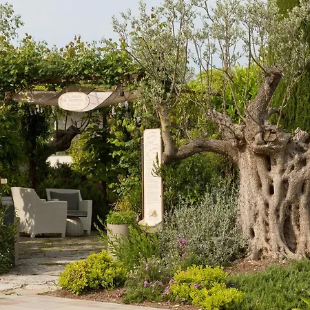 Domaine Du Mas De Pierre Saint-Paul-de-Vence